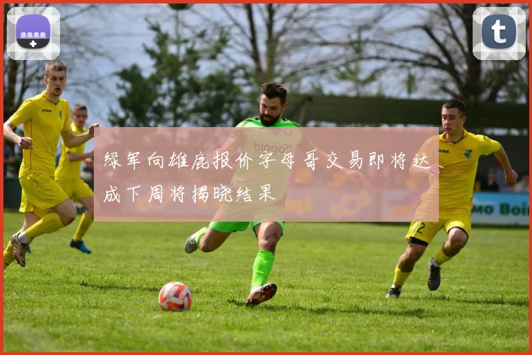 绿军向雄鹿报价字母哥交易即将达成下周将揭晓结果
